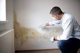 Best Commercial Mold Inspection  in Mcsherrystown, PA